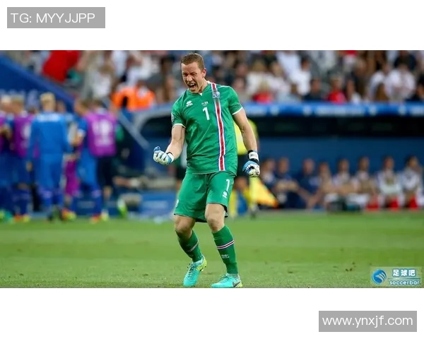 法国冰岛对决右腿手术后恢复情况分析与球员表现探讨