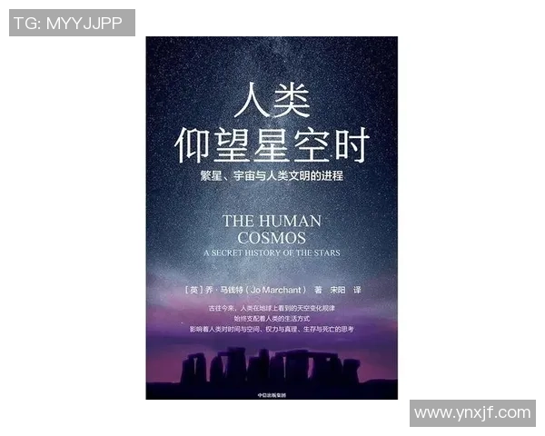 霍伊伦：探索科技与人文交融的未来之路与创新思维