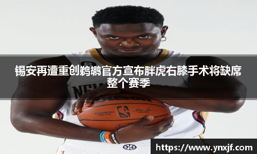 球速体育官方网址